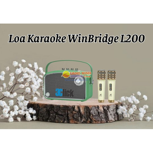 Loa karaoke di động WinBridge L200
